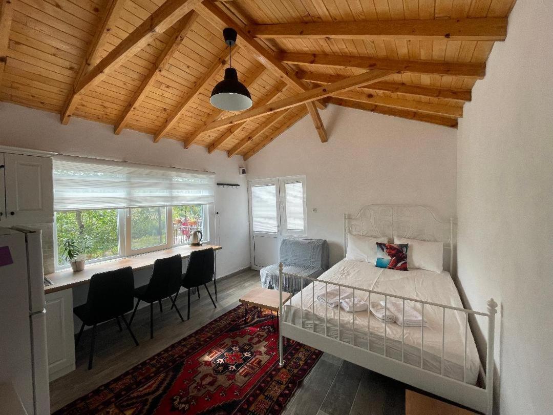 Cozy Home In Ardino المظهر الخارجي الصورة